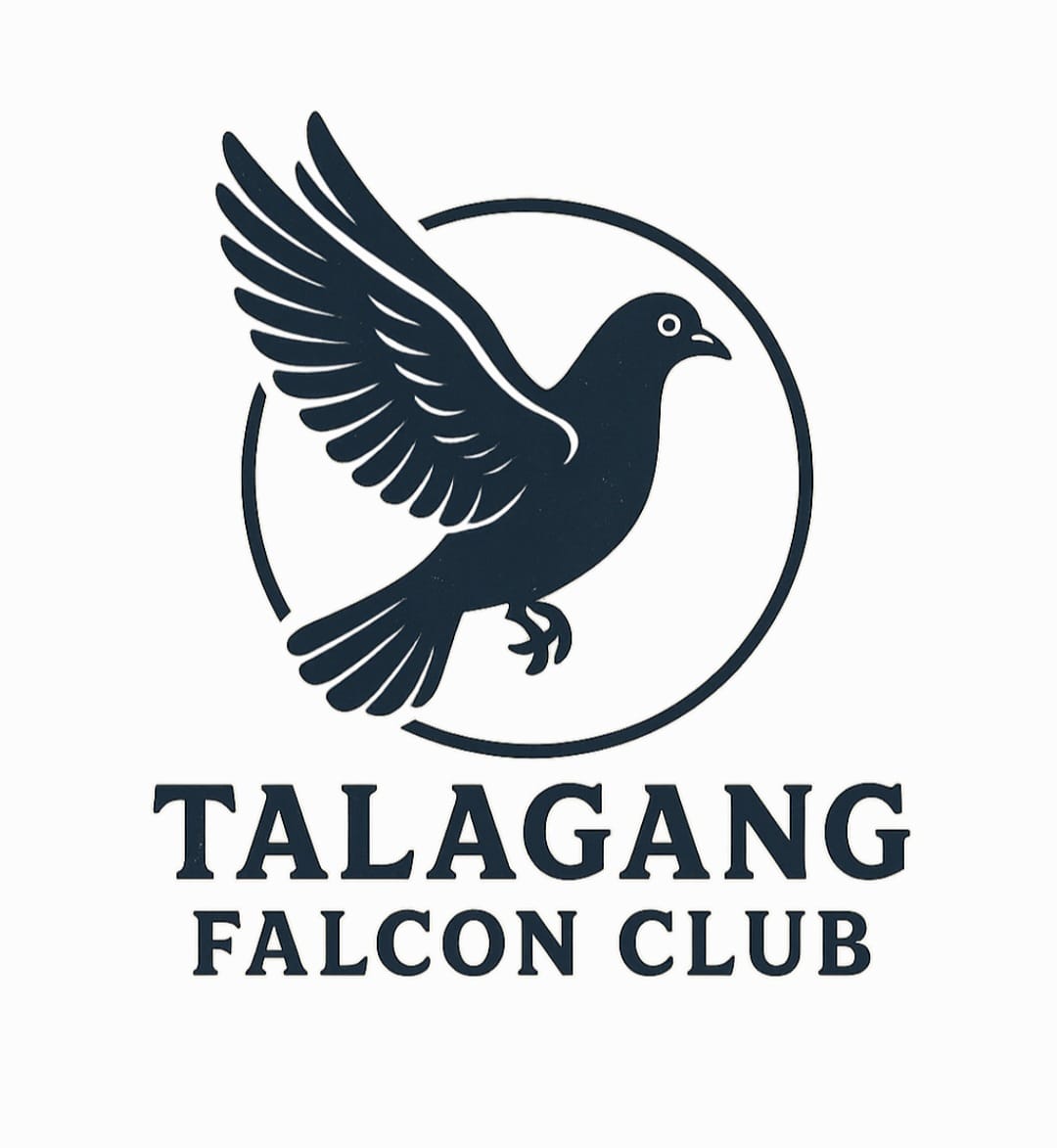 29 Sep 2025 تلہ گنگ فالکن ون ڈے ٹورنامنٹ